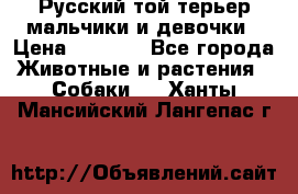 Русский той-терьер мальчики и девочки › Цена ­ 8 000 - Все города Животные и растения » Собаки   . Ханты-Мансийский,Лангепас г.